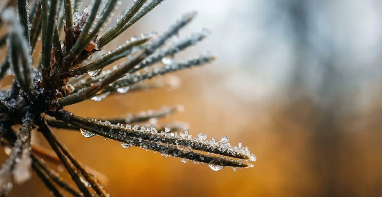 Concept visuel de planification stratégique des formations avant la saison d'hiver